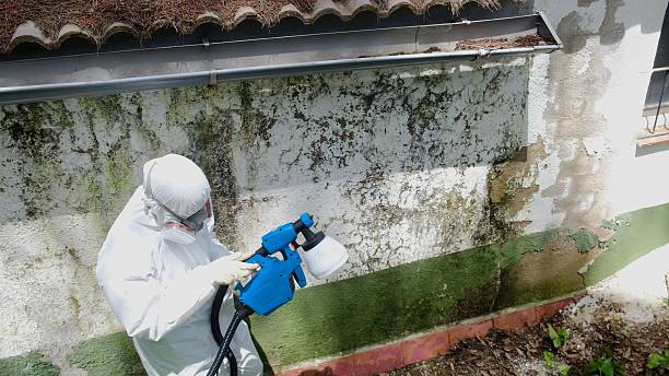 Trusted Bathroom Mold Removal service in Parkville, PA - Cheap Mold Removal